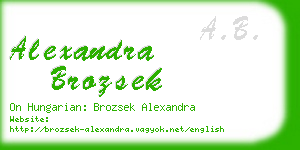 alexandra brozsek business card